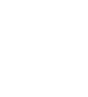 Logo - CCIRDN - Blanc